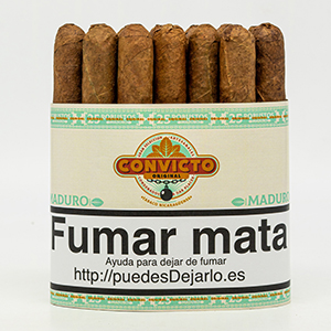 SHORT CORONAS CONVICTO MADURO MAZO 25