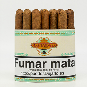 SHORT ROBUSTO CONVICTO MADURO MAZO 25