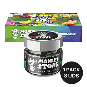 PIEDRA MONKEY STONE BERRIED ALIVE 3 PIEDRA MONKEY STONE BERRIED ALIVE
