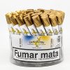 CANARITOS BOTE 50 TUBOS BREVAS