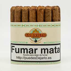 SHORT CORONAS CONVICTO MAZO 25