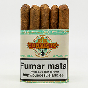 SHORT ROBUSTO CONVICTO MAZO 10