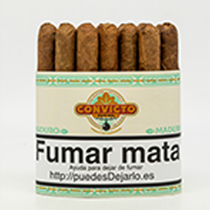 SHORT ROBUSTO CONVICTO MAZO 25