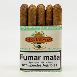 SHORT ROBUSTO CONVICTO MADURO MAZO 10