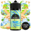 AROMA BOMBO BAR JUICE ULTRA MELON ICE 24ML/120ML/OMG 1 41119656